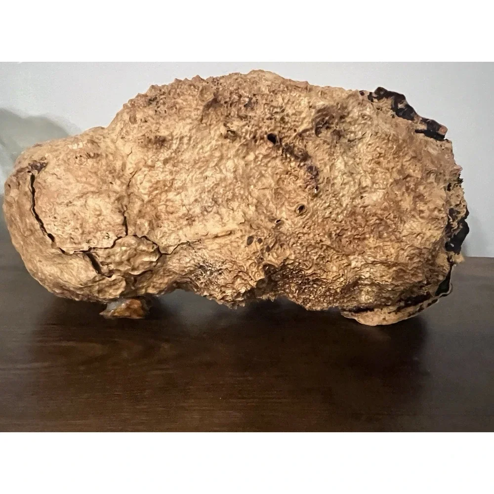 Faux Fur Woodland Critters in Cork Bark Log Display‎ Rustic Cabin Decor 10